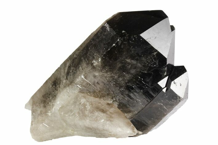 Dark Smoky Quartz Crystal - Brazil #120769